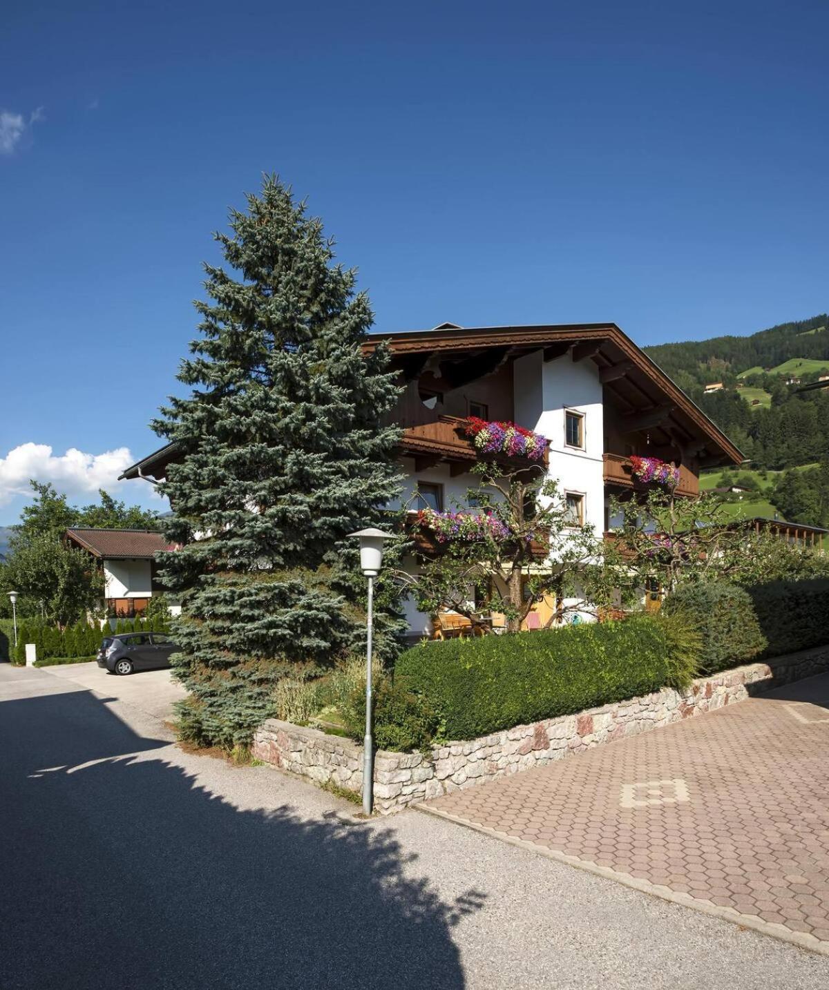 Alpenrose Lejlighed Ramsau im Zillertal Eksteriør billede